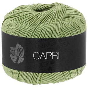Lana Grossa CAPRI | 43-пастельно-зелёный