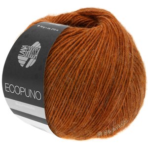 Lana Grossa ECOPUNO | 049-коричневый цвет корицы
