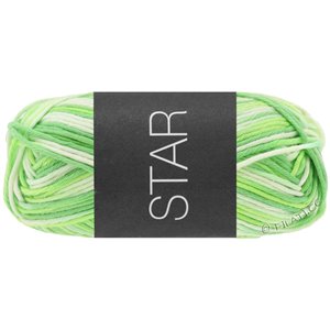 Lana Grossa STAR Print принт | 348-бело-зеленый/светло-зелёный/нефрит